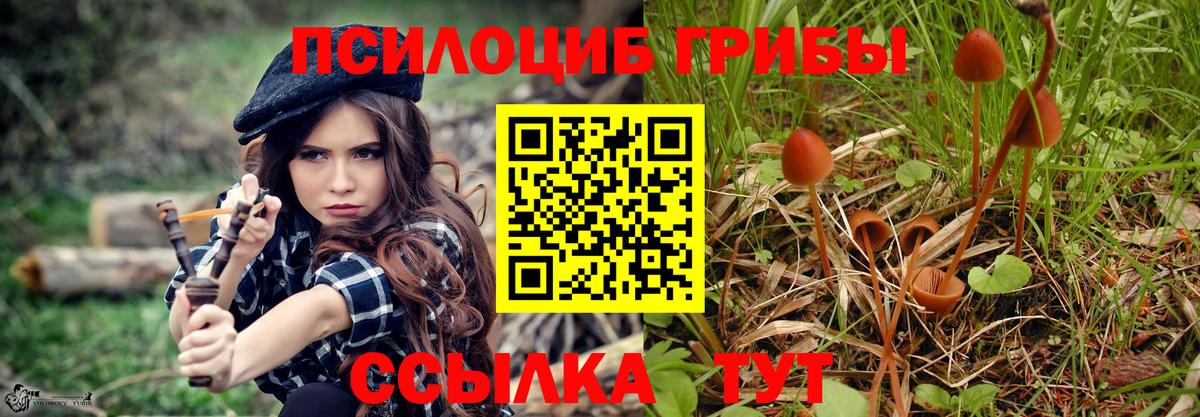Псилоцибиновые грибы ЛСД  Псилоцибиновые грибы MAGIC MUSHROOMS  Вход с VPN  Грязи 